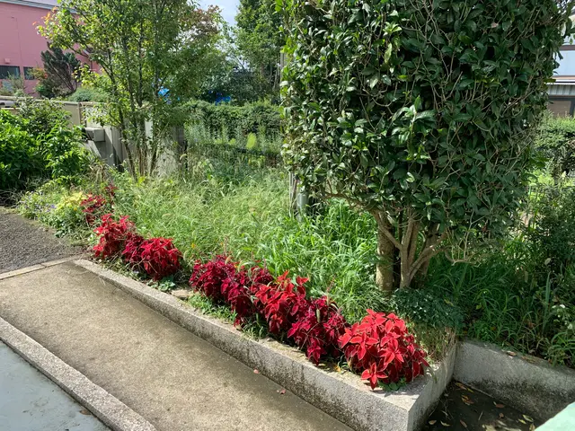 機械ではできないクオリティを提供します！！サービスの画像