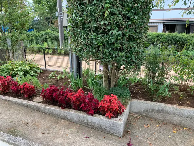 機械ではできないクオリティを提供します！！サービスの画像