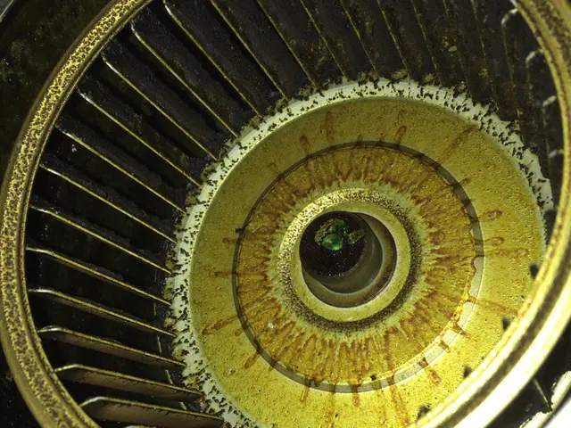 ☆レンジフードの触りたくない油汚れは、私にお任せ下さい！サービスの画像