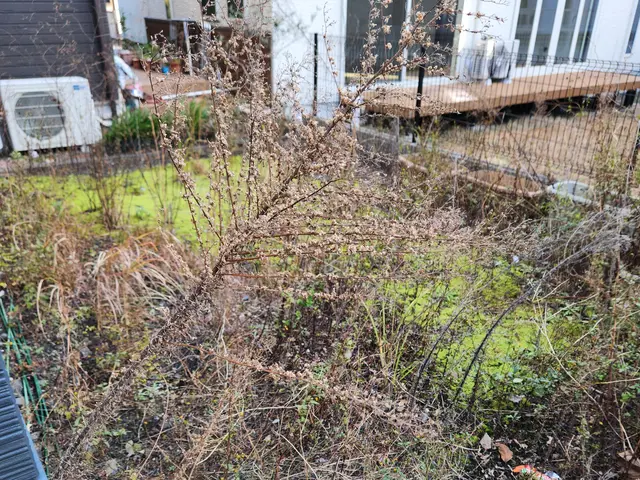 大手企業経験者による丁寧な手作業除草！女性スタッフ同行で安心対応サービスの画像