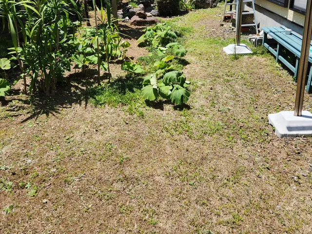 大手企業経験者による丁寧な手作業除草！女性スタッフ同行で安心対応サービスの画像