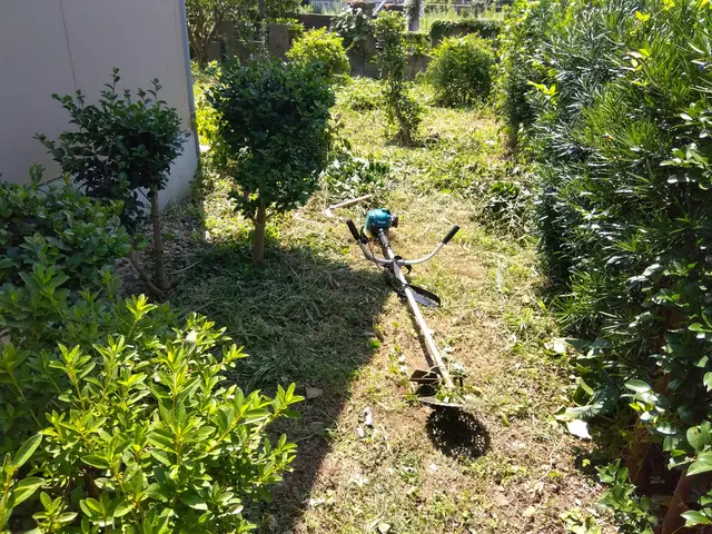 草刈機で致します　草刈ゴミ収集運搬迄サービスの画像