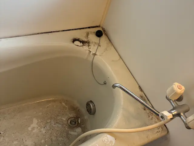 浴室クリーニングサービスの画像