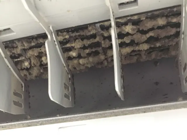 繁忙期もお値段変わらず☆エアコン分解清掃☆お掃除のお困り事は当店にご相談くださいサービスの画像