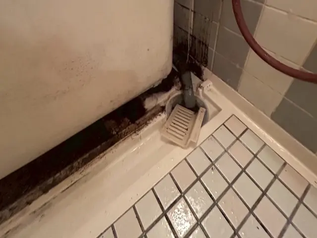 【浴室クリーニング】様々な洗剤を使用し黒カビや水垢汚れ、鏡のウロコを綺麗に除去サービスの画像