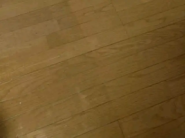 フロア（水性）アクアガードコーティング　抗菌・防カビ剤入　女性スタッフ指定可能サービスの画像