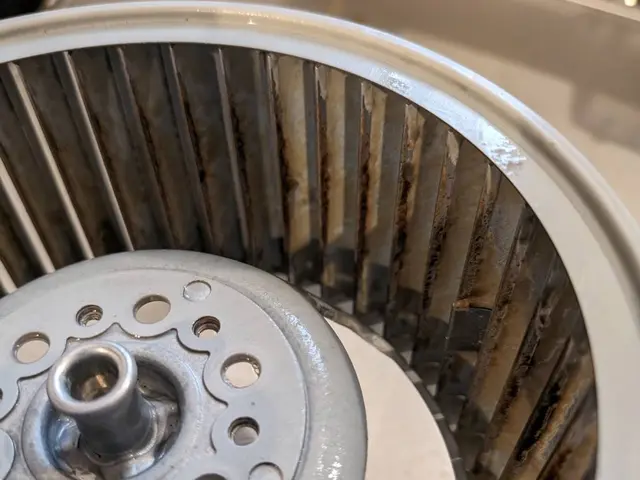 日本ハウスクリーニング振興会認定資格保持者が丁寧に作業いたします！サービスの画像