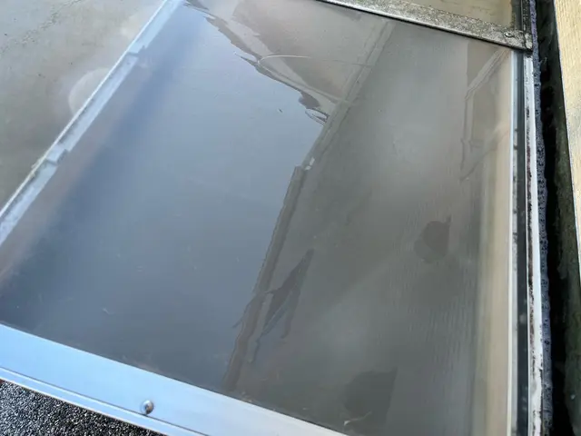 隅々まで綺麗に！スケジュール次第で土日祝も対応可能な丁寧洗浄、苔も綺麗に取りますサービスの画像