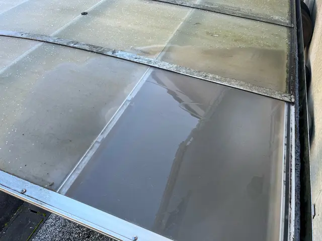 隅々まで綺麗に！スケジュール次第で土日祝も対応可能な丁寧洗浄、苔も綺麗に取りますサービスの画像