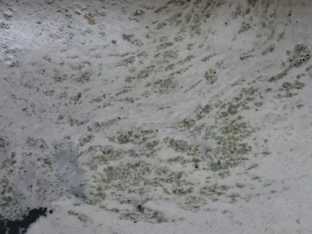 お湯の雑菌さようなら♬見えない汚れをしっかり見せてスッキリさせます。サービスの画像