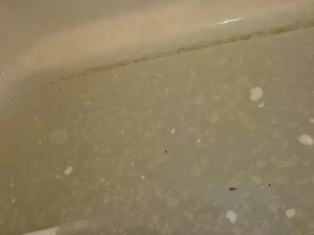 お湯の雑菌さようなら♬見えない汚れをしっかり見せてスッキリさせます。サービスの画像