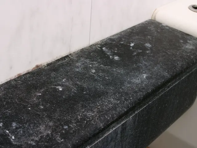 ◇コロナ対策万全◇PAYPAY・オンライン決済可◇駐車代金当店負担◇損害保険加入サービスの画像