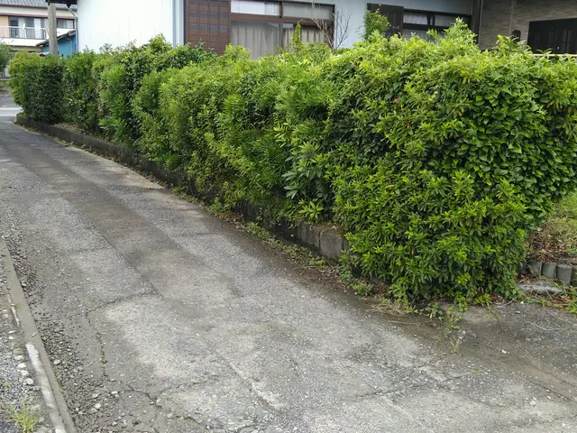 お客様から信頼いただけるよう、一つ一つの作業を迅速丁寧に対応します！サービスの画像