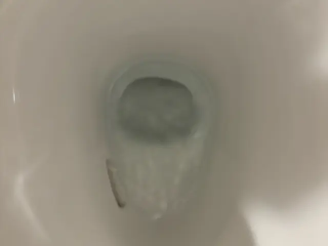 損害保険に加入済み◎一つ一つの現場を大切に、徹底的に丁寧に仕上げます。サービスの画像