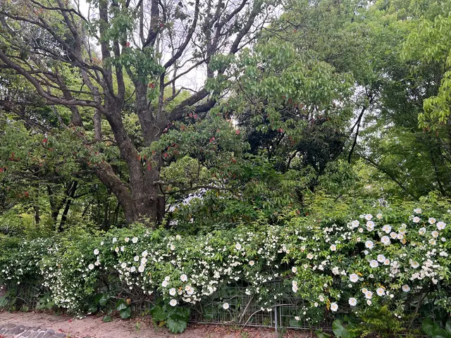 年中無休！近隣の方々にご迷惑にならないよう対応しますサービスの画像