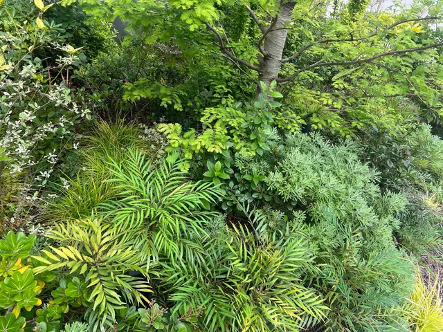 年中無休！近隣の方々にご迷惑にならないよう対応しますサービスの画像