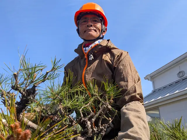 さしこむ光と風に 庭なごみ熟達の技に 心ほどける庭木一本から心地よい庭づくり！サービスの画像