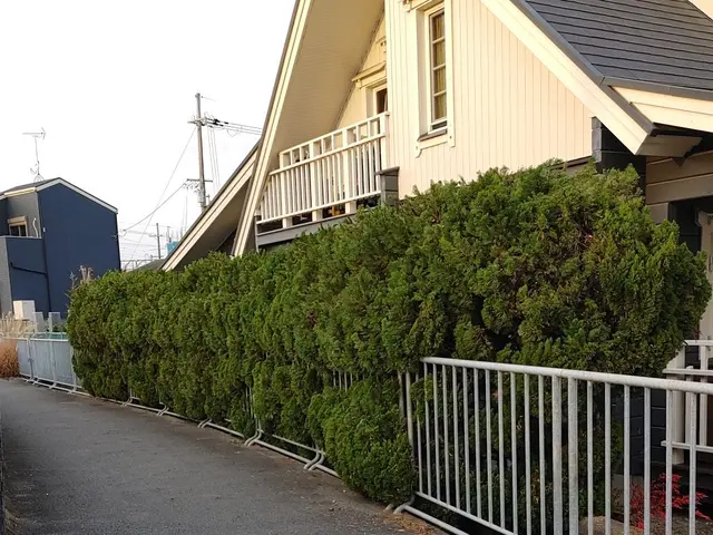 さしこむ光そよぐ風。職人技と庭木とお客とのハーモニーをご提供。スッキリとした秋！サービスの画像