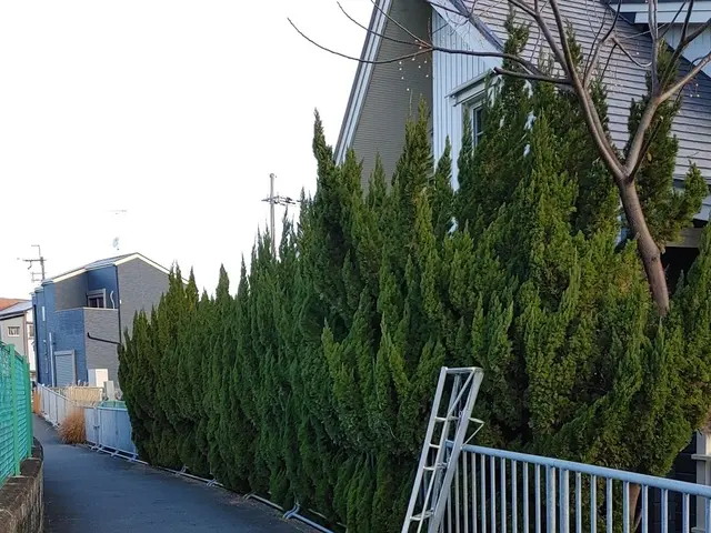 さしこむ光そよぐ風。職人技と庭木とお客とのハーモニーをご提供。スッキリとした秋！サービスの画像