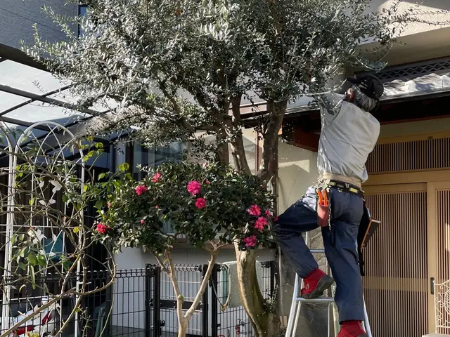 さしこむ光そよぐ風。職人技と庭木とお客とのハーモニーをご提供。スッキリとした秋！サービスの画像