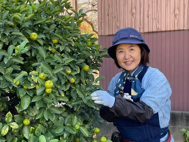 さしこむ光そよぐ風。職人技と庭木とお客とのハーモニーをご提供。スッキリとした秋！サービスの画像