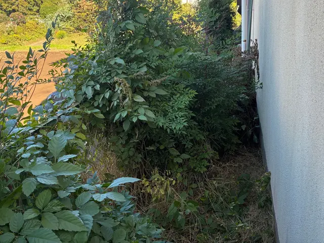 プロの技術でご満足いただけるように心を込めて作業いたしますサービスの画像