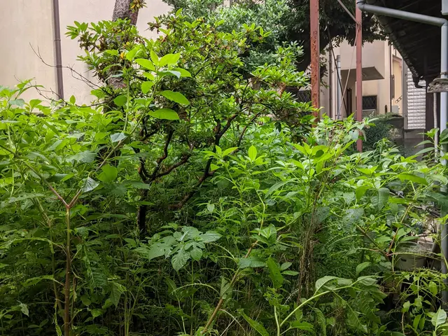 確かな技術で綺麗な仕上がりを実感ください！サービスの画像