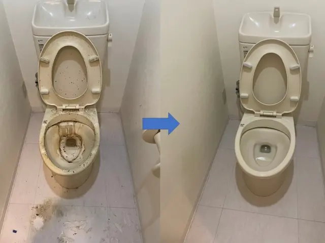 【女性スタッフ同行可能◎】高温スチームとプロのノウハウで汚れを落とします！サービスの画像