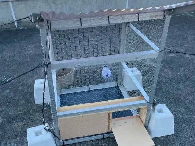 女性スタッフによる即日対応！塗装まで一貫してお任せ頂けます。サービスの画像