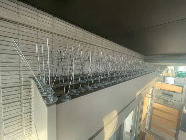 女性スタッフによる即日対応！塗装まで一貫してお任せ頂けます。サービスの画像