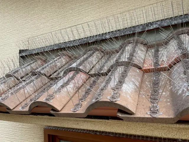 女性スタッフによる即日対応！塗装まで一貫してお任せ頂けます。サービスの画像