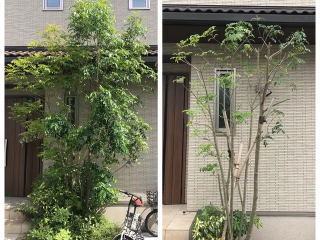 明るいお庭作り♪ お庭の事ならお任せください。まずはお気軽にご相談ください^ ^サービスの画像