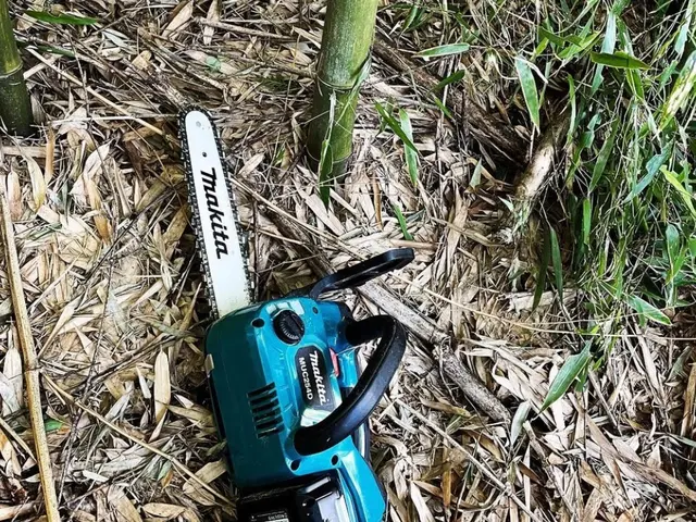 【安心低価格】庭木の伐採、抜根はプロにお任せください！サービスの画像