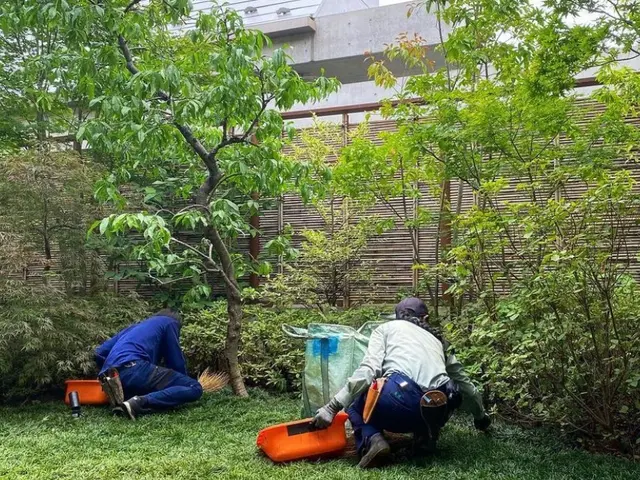 【安心低価格】庭木の伐採、抜根はプロにお任せください！サービスの画像