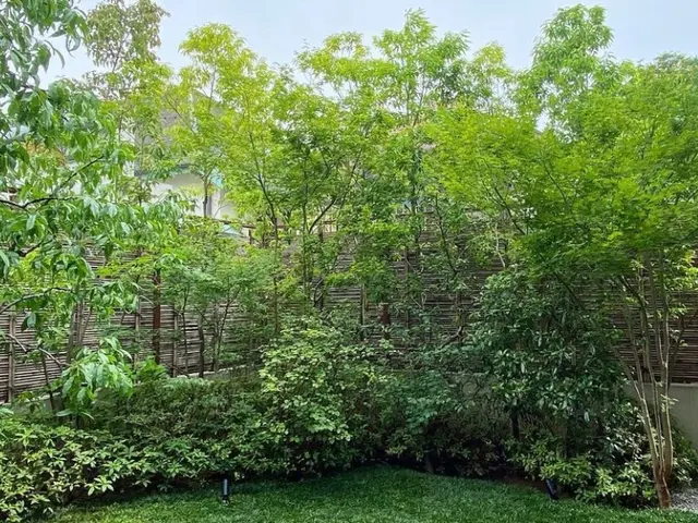 【安心低価格】庭木の伐採、抜根はプロにお任せください！サービスの画像