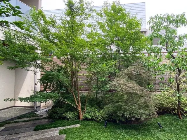 【安心低価格】庭木の伐採、抜根はプロにお任せください！サービスの画像