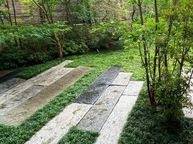 【安心低価格】庭木の伐採、抜根はプロにお任せください！サービスの画像