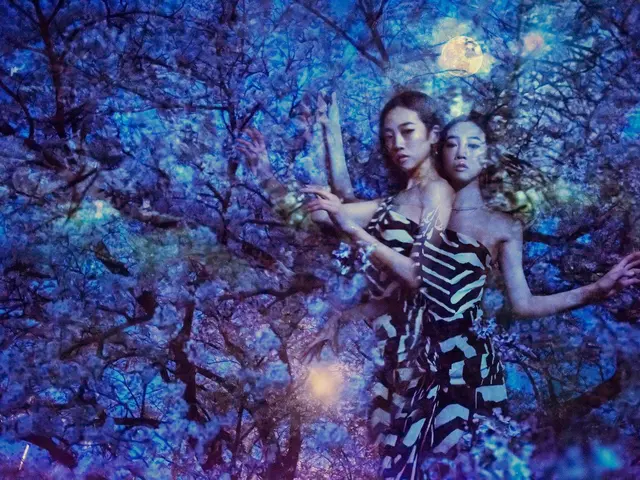 【年中無休で営業中】事前の打ち合わせで、お客様のご要望にそった仕上がりに！サービスの画像