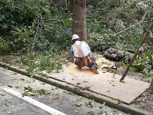 【豊富な経験と実績あり】営業時間外も相談可◎笑顔と感謝を忘れずに対応いたします！サービスの画像