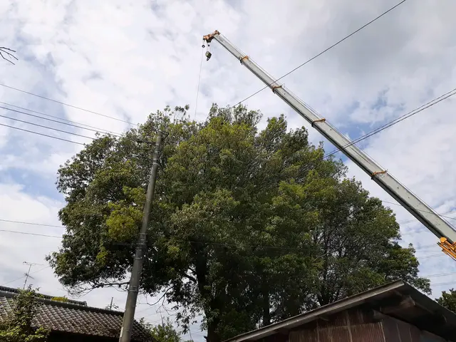 【豊富な経験と実績あり】営業時間外も相談可◎笑顔と感謝を忘れずに対応いたします！サービスの画像