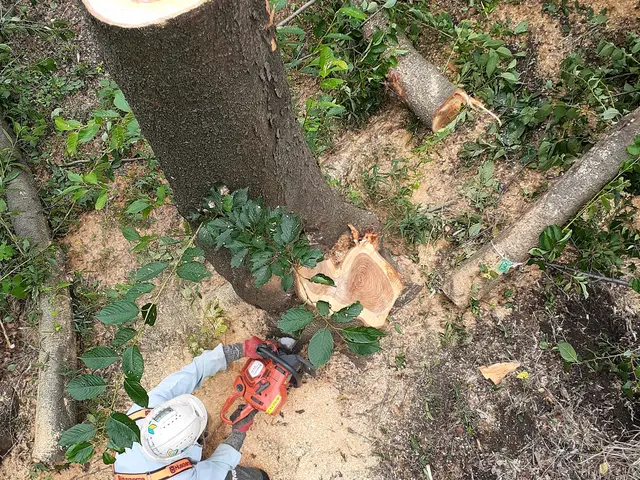 【豊富な経験と実績あり】営業時間外も相談可◎笑顔と感謝を忘れずに対応いたします！サービスの画像