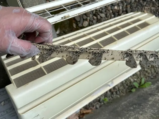 納得感のあるクリーニングを実感出来ます【2台目以降9500円】サービスの画像