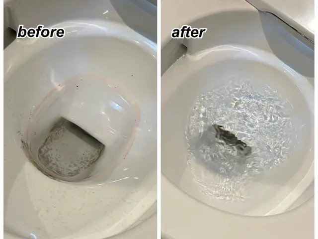 トイレクリーニング！最短翌日可能！女性スタッフが対応します◎サービスの画像