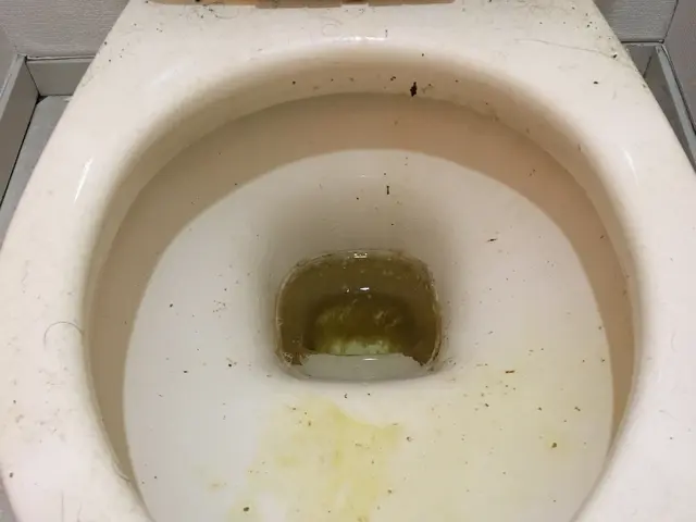 浴室・洗面・キッチン・レンジフード・トイレの清掃です！！◆クレカ決済OK！サービスの画像