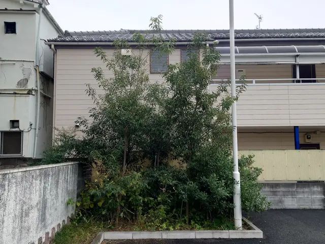 1000件以上の剪定実績！お庭のプロが理想の庭木に仕上げます。サービスの画像