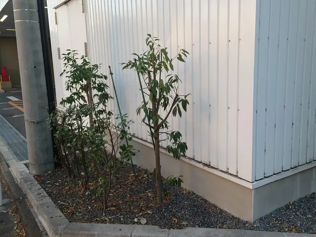 1000件以上の剪定実績！お庭のプロが理想の庭木に仕上げます。サービスの画像