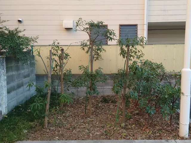 1000件以上の剪定実績！お庭のプロが理想の庭木に仕上げます。サービスの画像