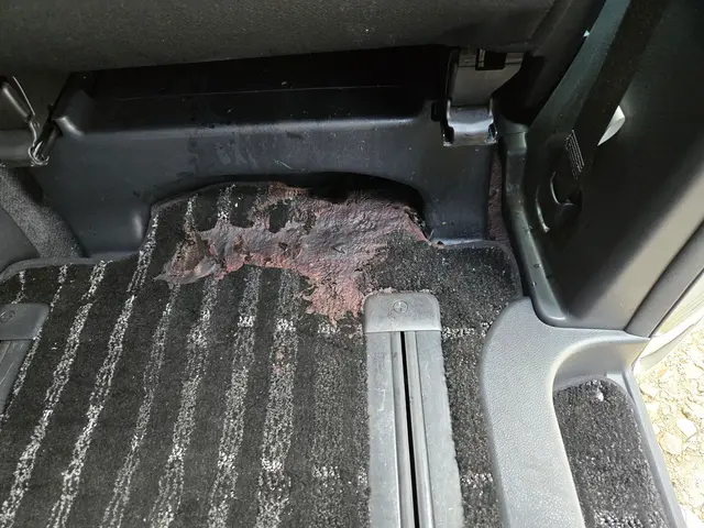 令和7年10月出店◎引取納車OK｜〜夜20時◎夜間対応可【札幌市】サービスの画像