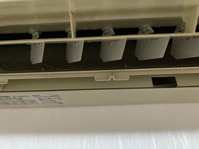 【カビ】【ニオイ】【ホコリ】を除去◆複数台値引◆クリーニングはお任せください。サービスの画像