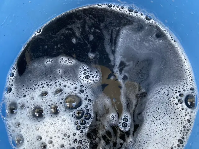 【カビ】【ニオイ】【ホコリ】を除去◆複数台値引◆クリーニングはお任せください。サービスの画像